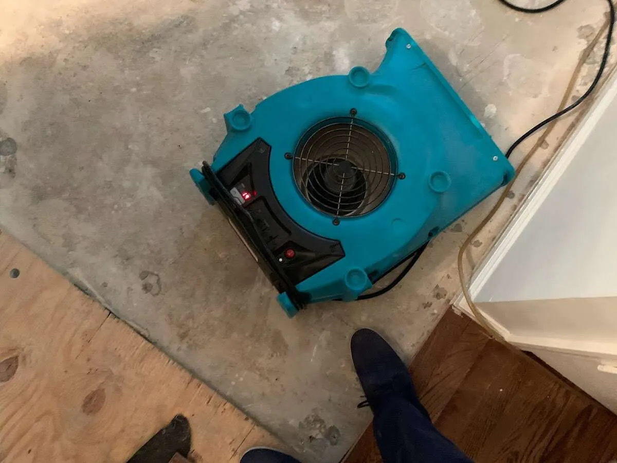 Air mover drying subfloor during Leak Detection & Repair in Dunbar